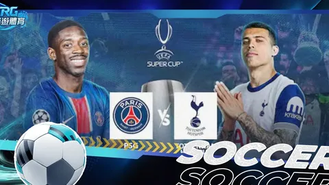 2025世界杯：丹麦概览